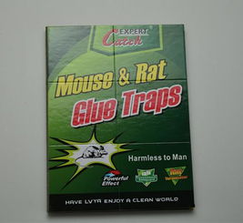 高效環保，廠家直銷——義烏綠亞環保粘鼠膠系列產品